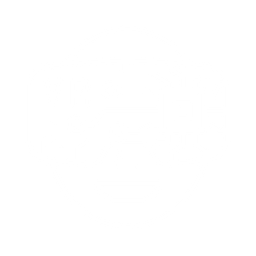 VIRUTAL REALITY (VR)